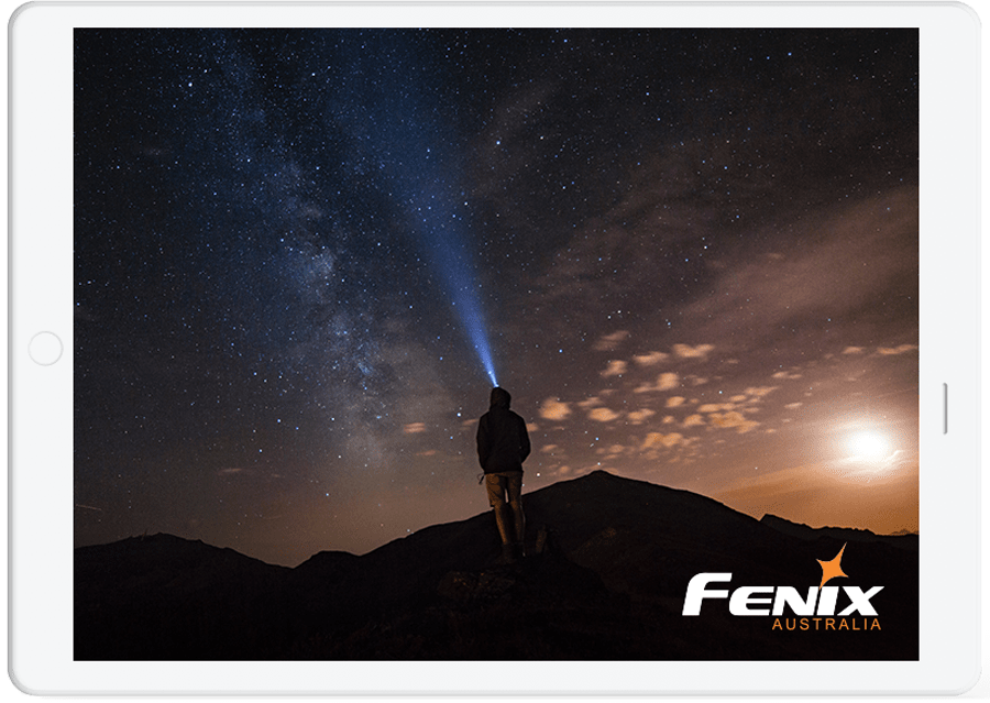 fenix australia seo results